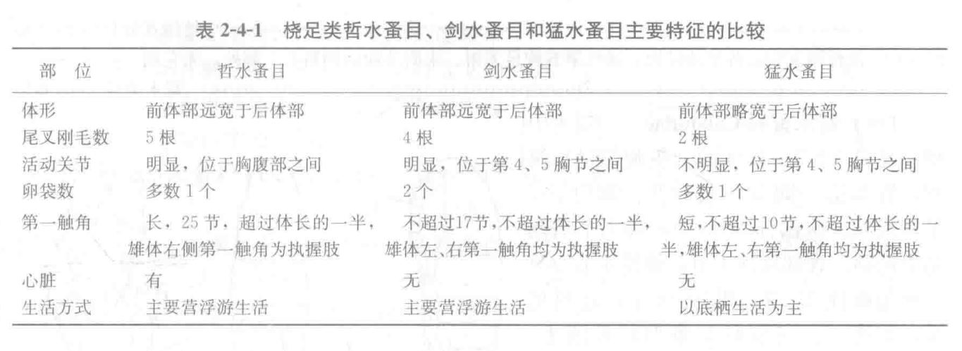 三个目表格-水生生物学