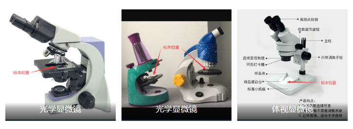 image-20251117102107613