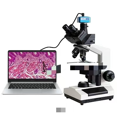 c251189c4036e60f4500d8ca5a396bb5