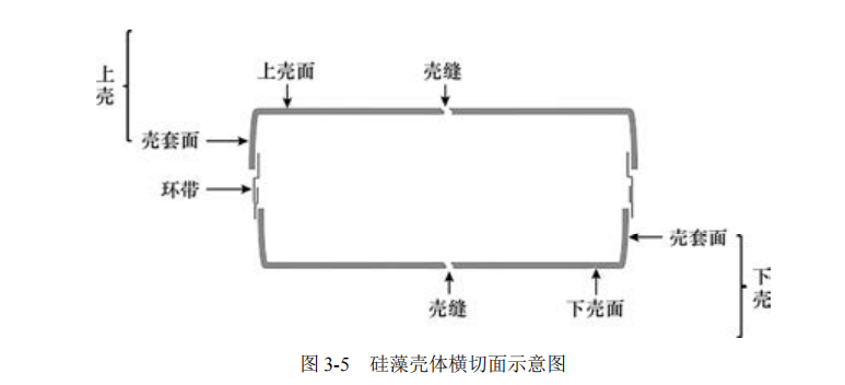 image-20251021111536237