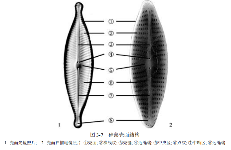 image-20251021111754473