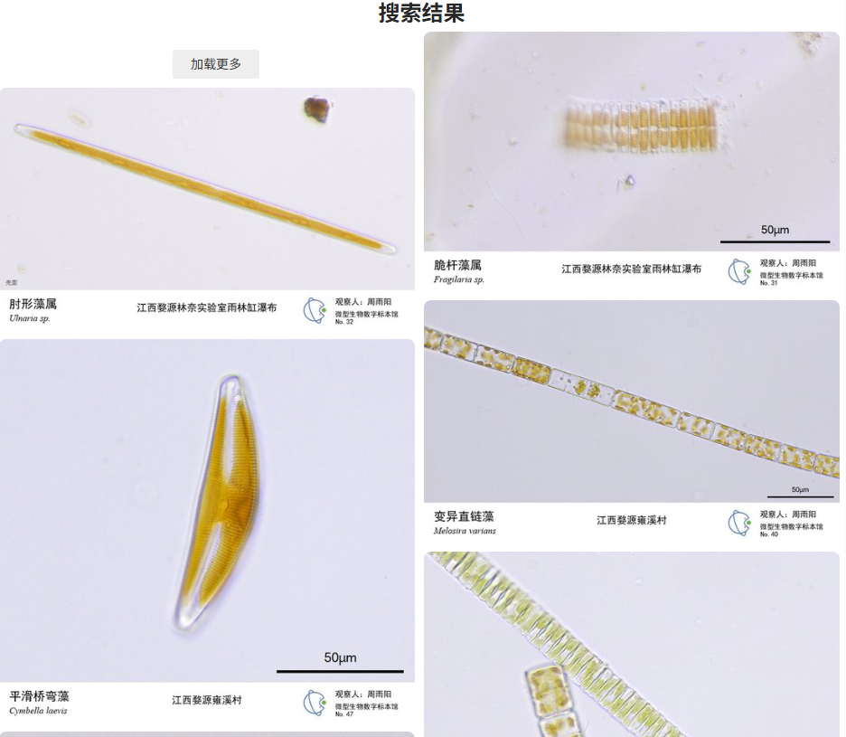 image-20251021114656798