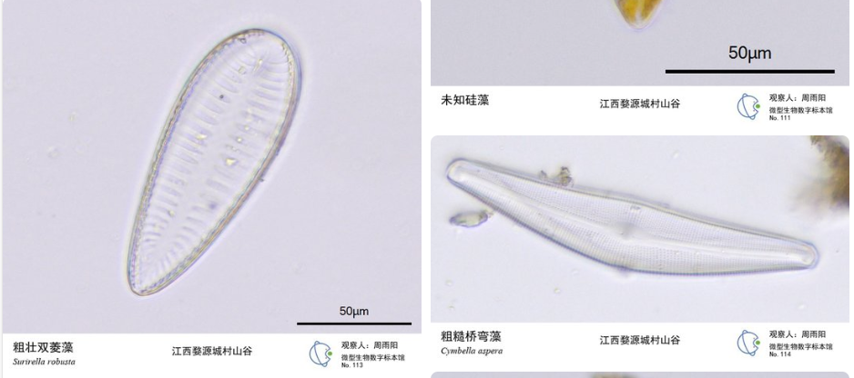 image-20251021114720774