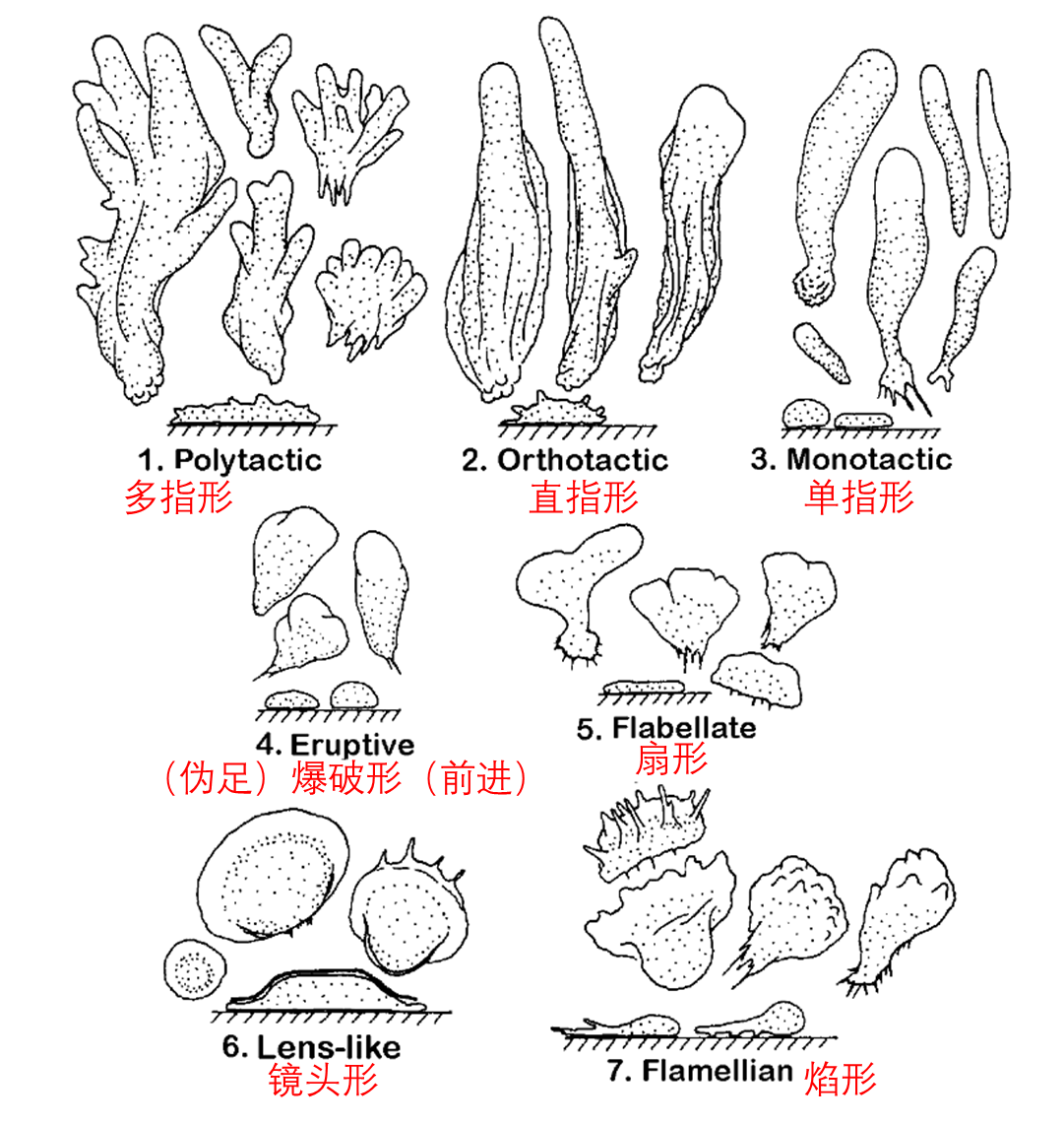 image-20251015110822885