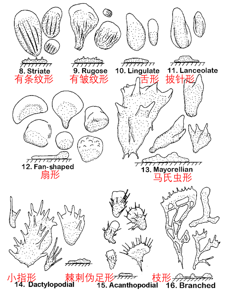 image-20251015110840261