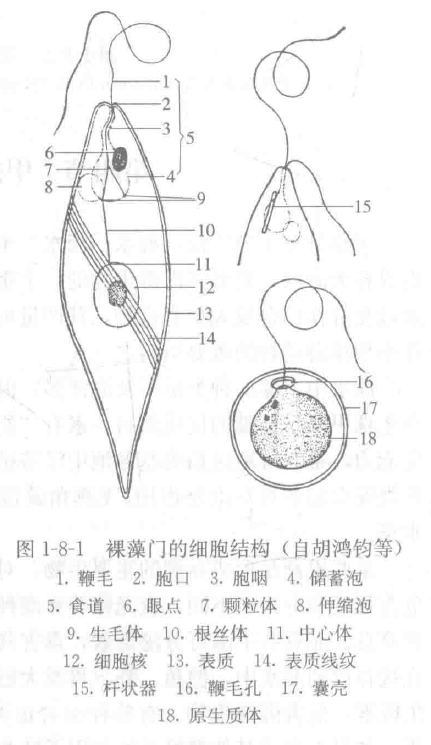 image-20251016085554596