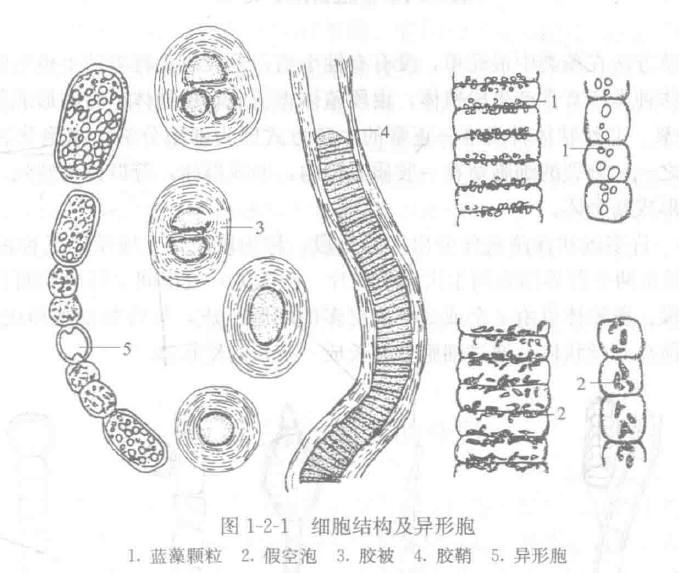 image-20251016092431930