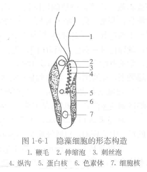 image-20251016105307318