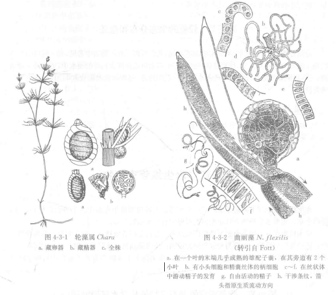 image-20251016110836014