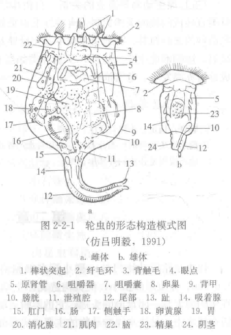 image-20251016111813808