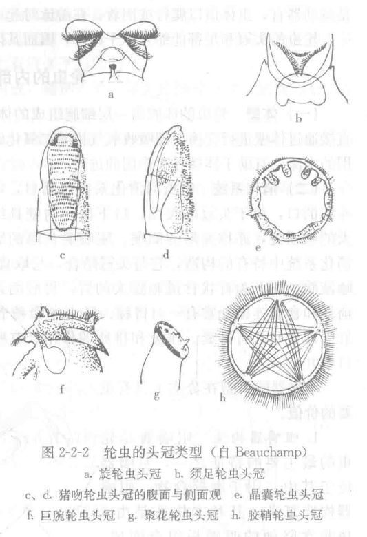 image-20251016112010986