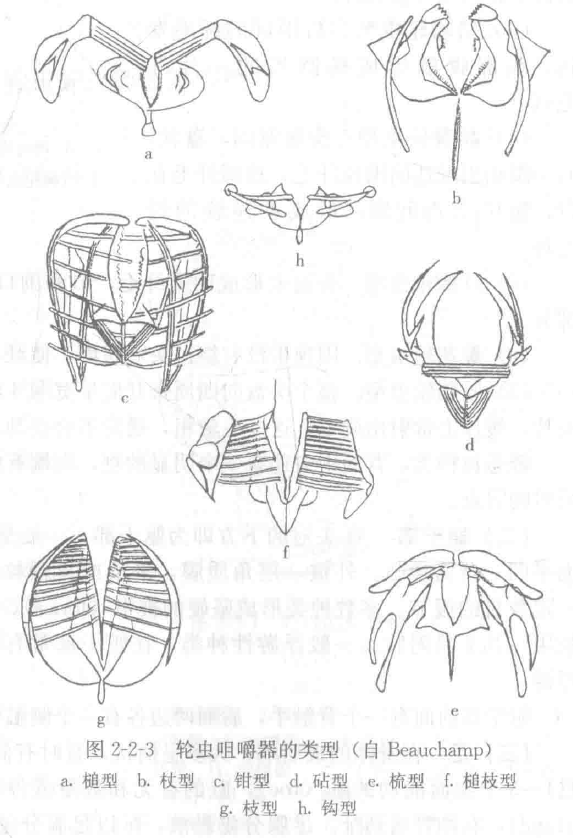 image-20251016112032364