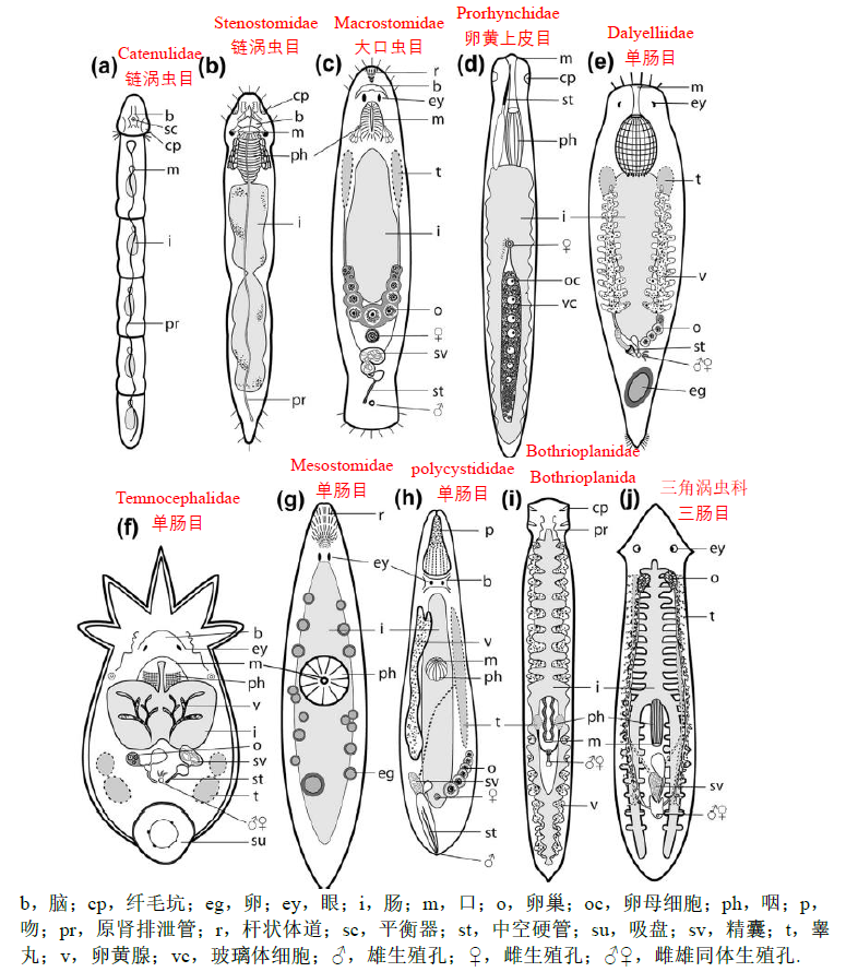 image-20251016165737318