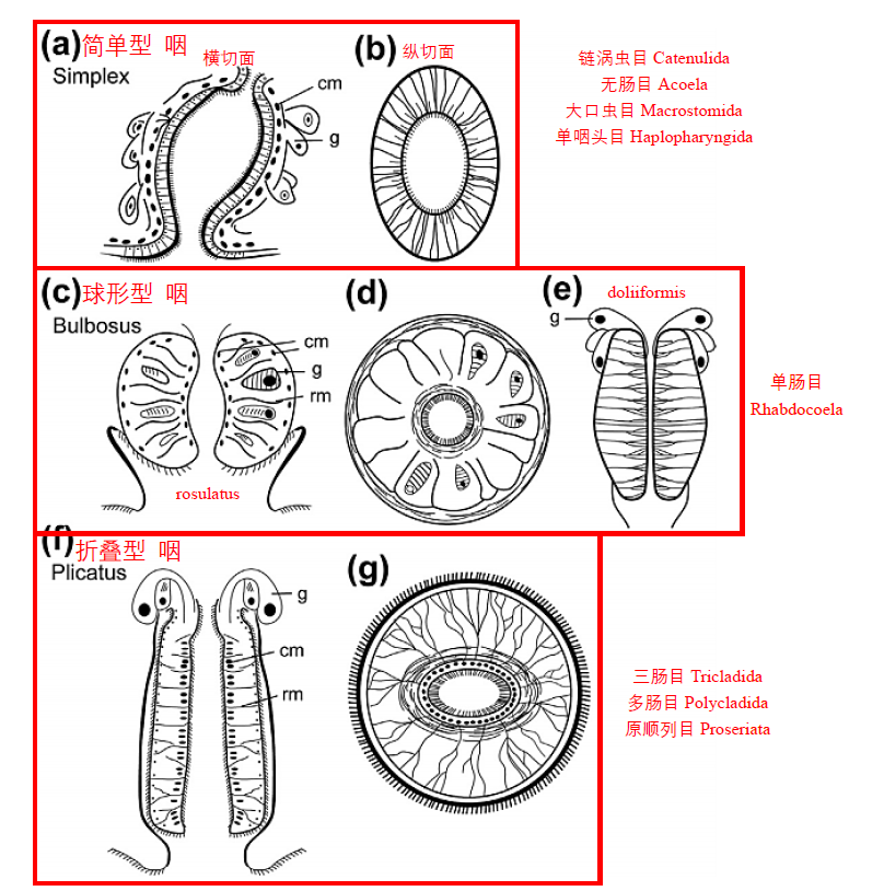 image-20251016165833803