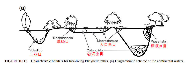 image-20251016165848630