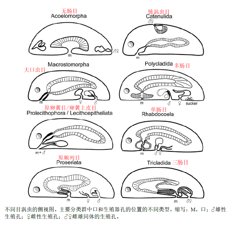 image-20251016165906423