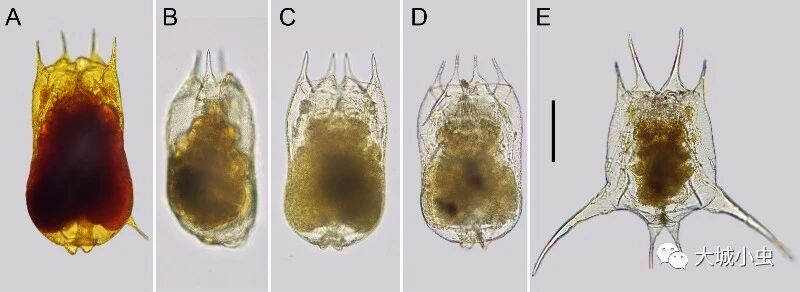 微信图片_2026-03-26_172612_124