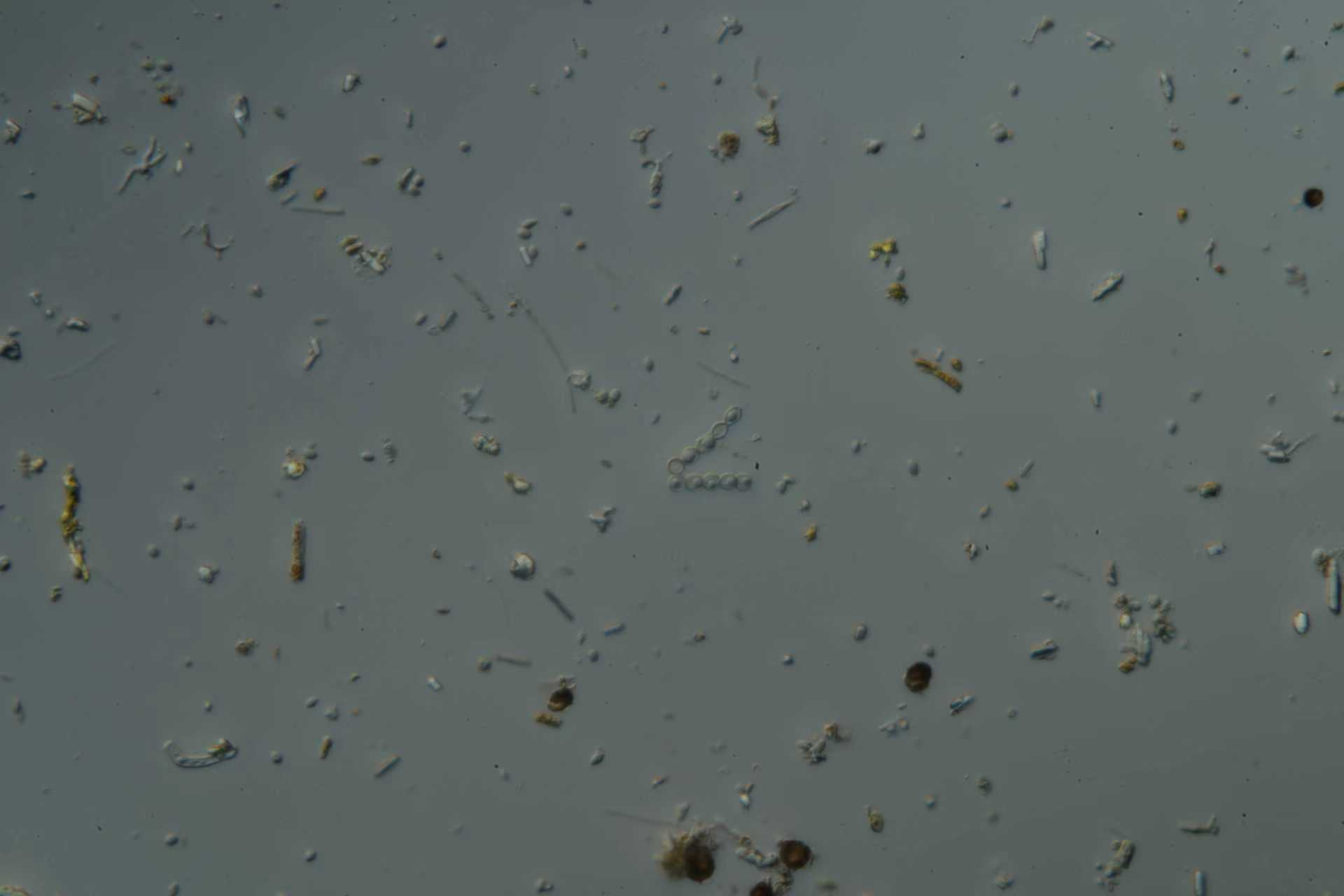 017eea626673d582c839e64f93c8e5c0