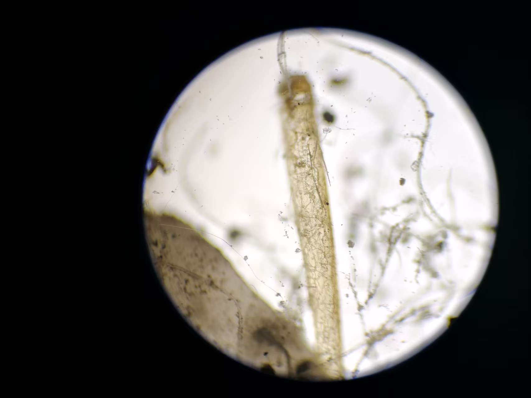 1686a023f6db4866a916601236183458