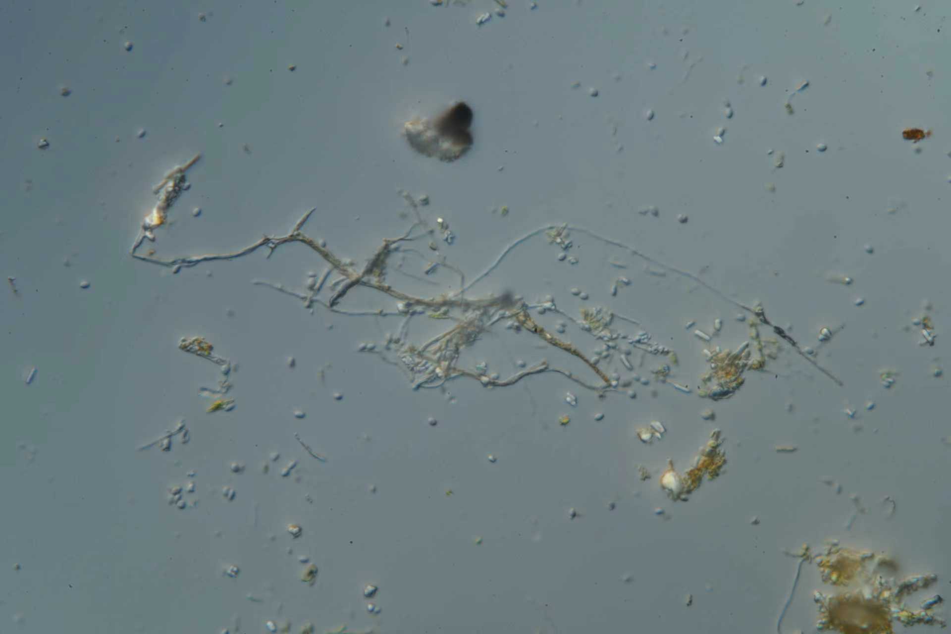 1b83fd73549201e354e86a43c4413be2