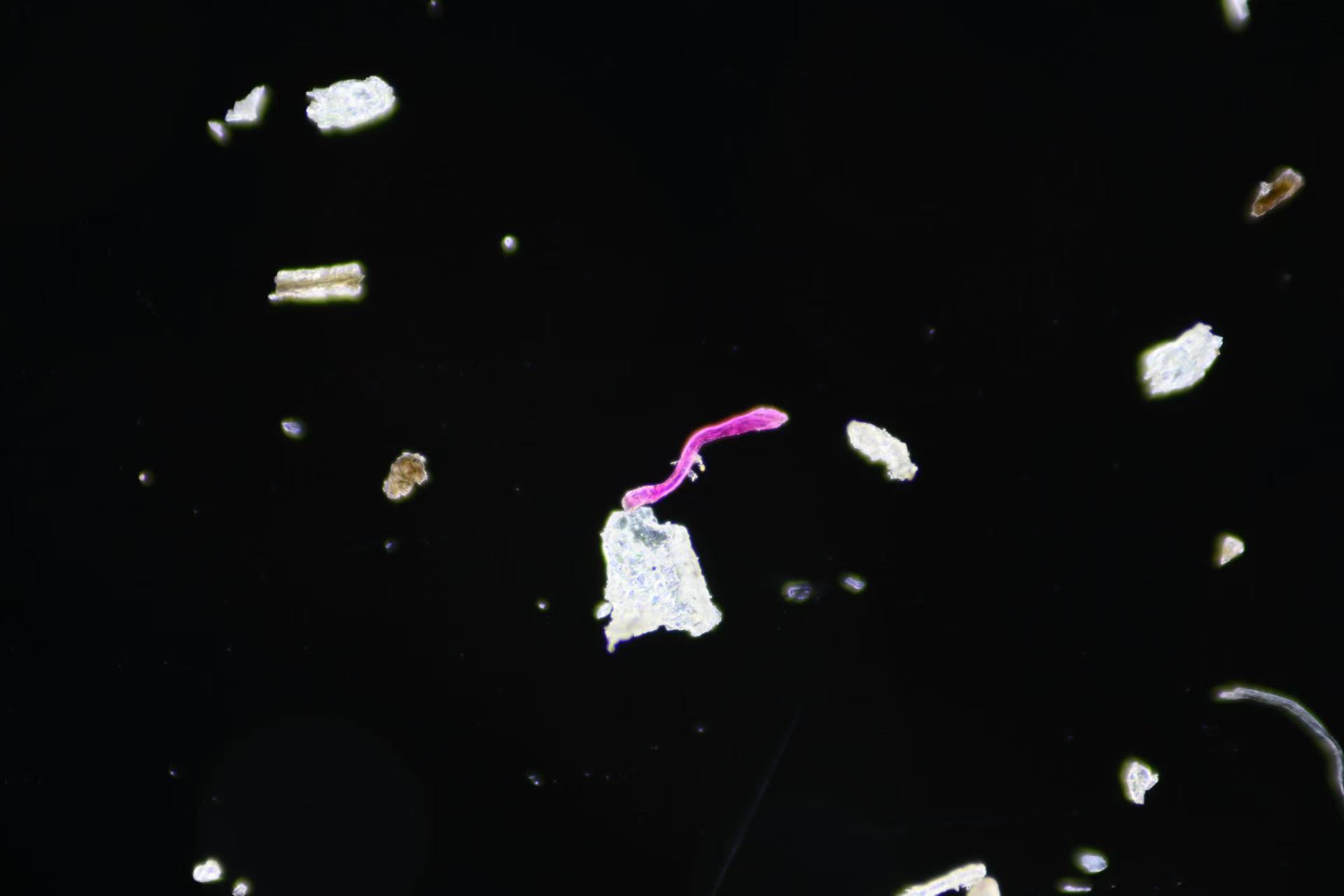 24cf1e6cc862656620be093ebf4fcebe