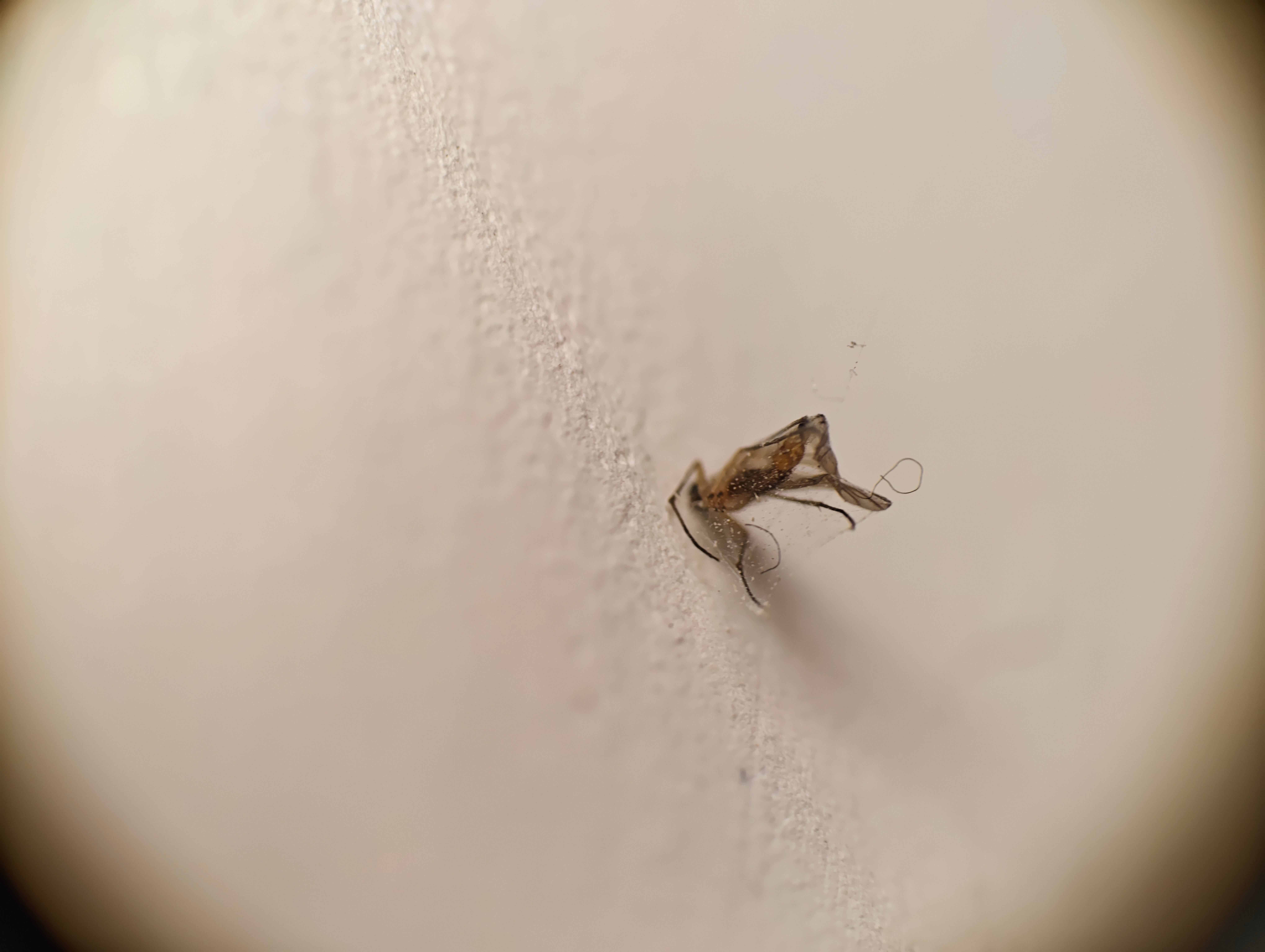 252b8b202a983e08523797cfa5c8d1ac