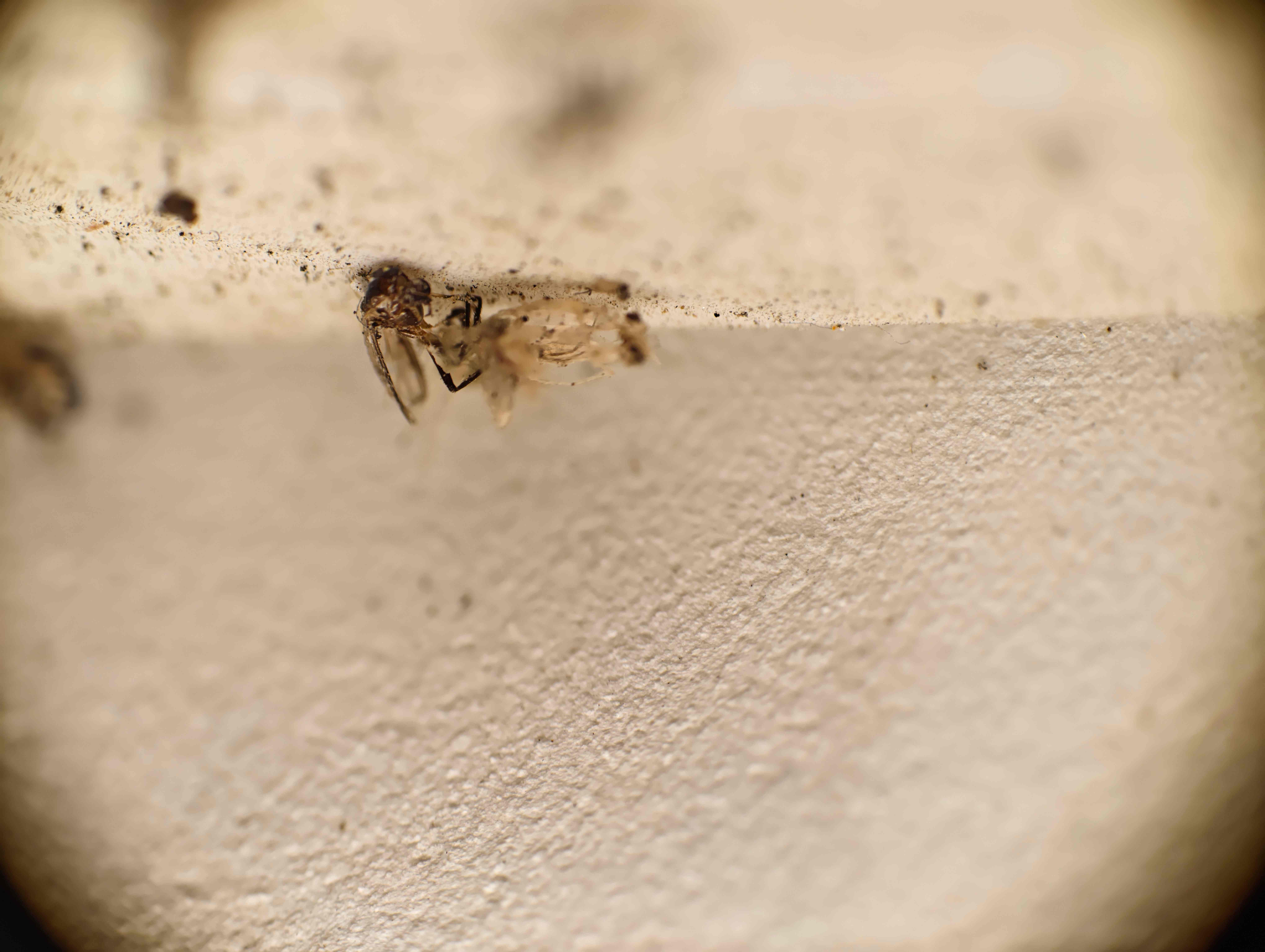 27b9553dc00ac5acdbe77d438b4f5a02