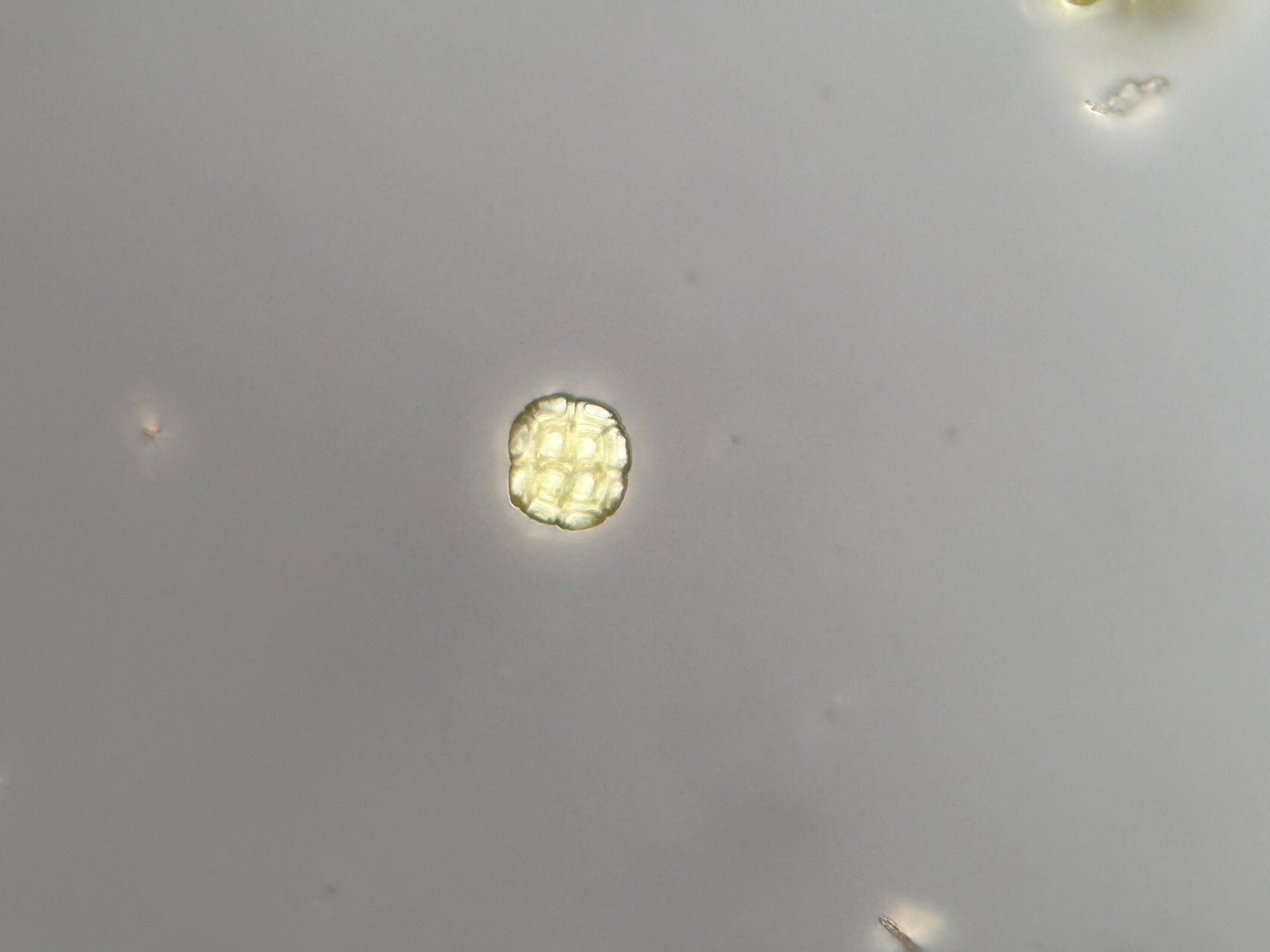 336a24ade34a9039675cac35b74ebc33