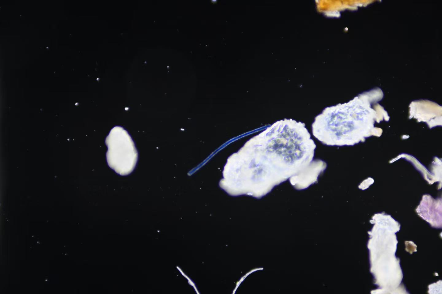 47c93c5c7d8893bafa29b3eea9505987