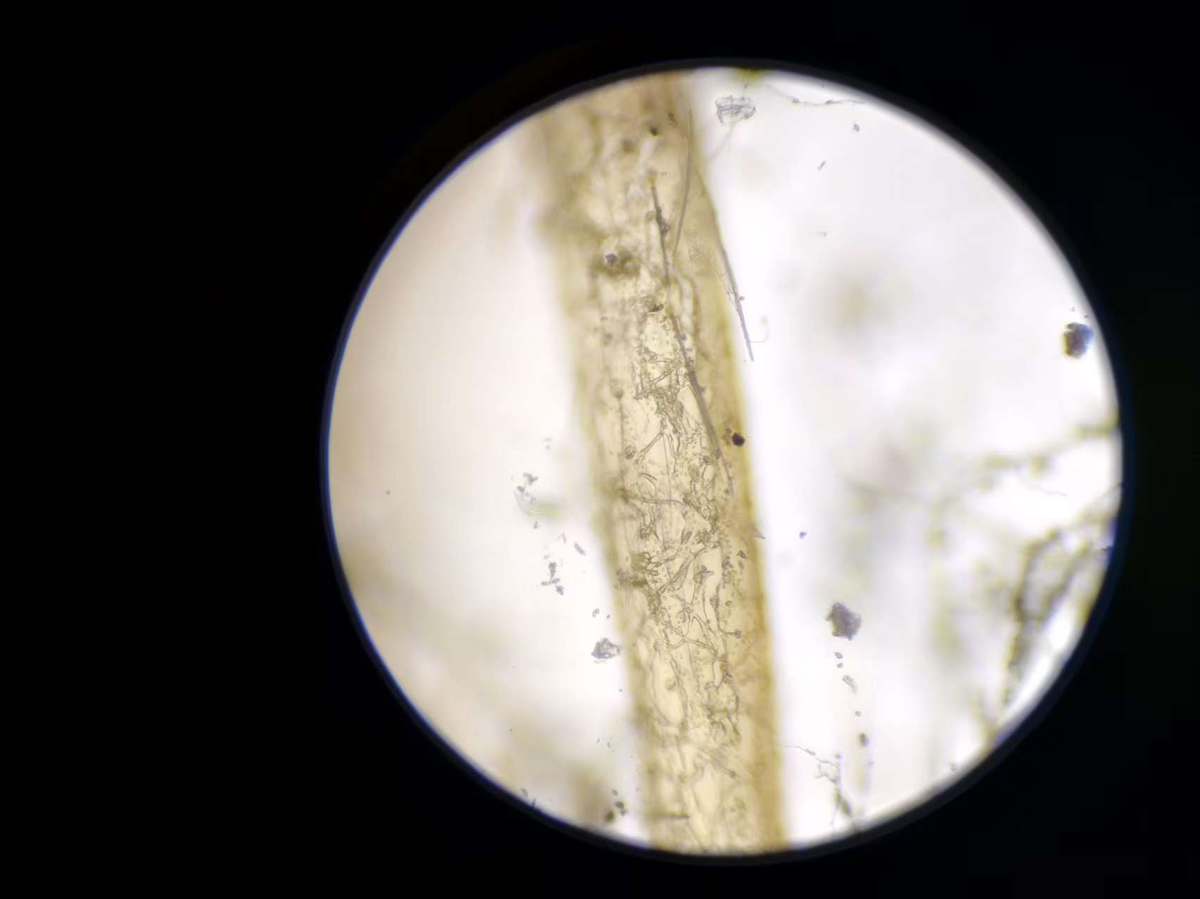 722f5e252dcf53154627b3a0cf9ff48e