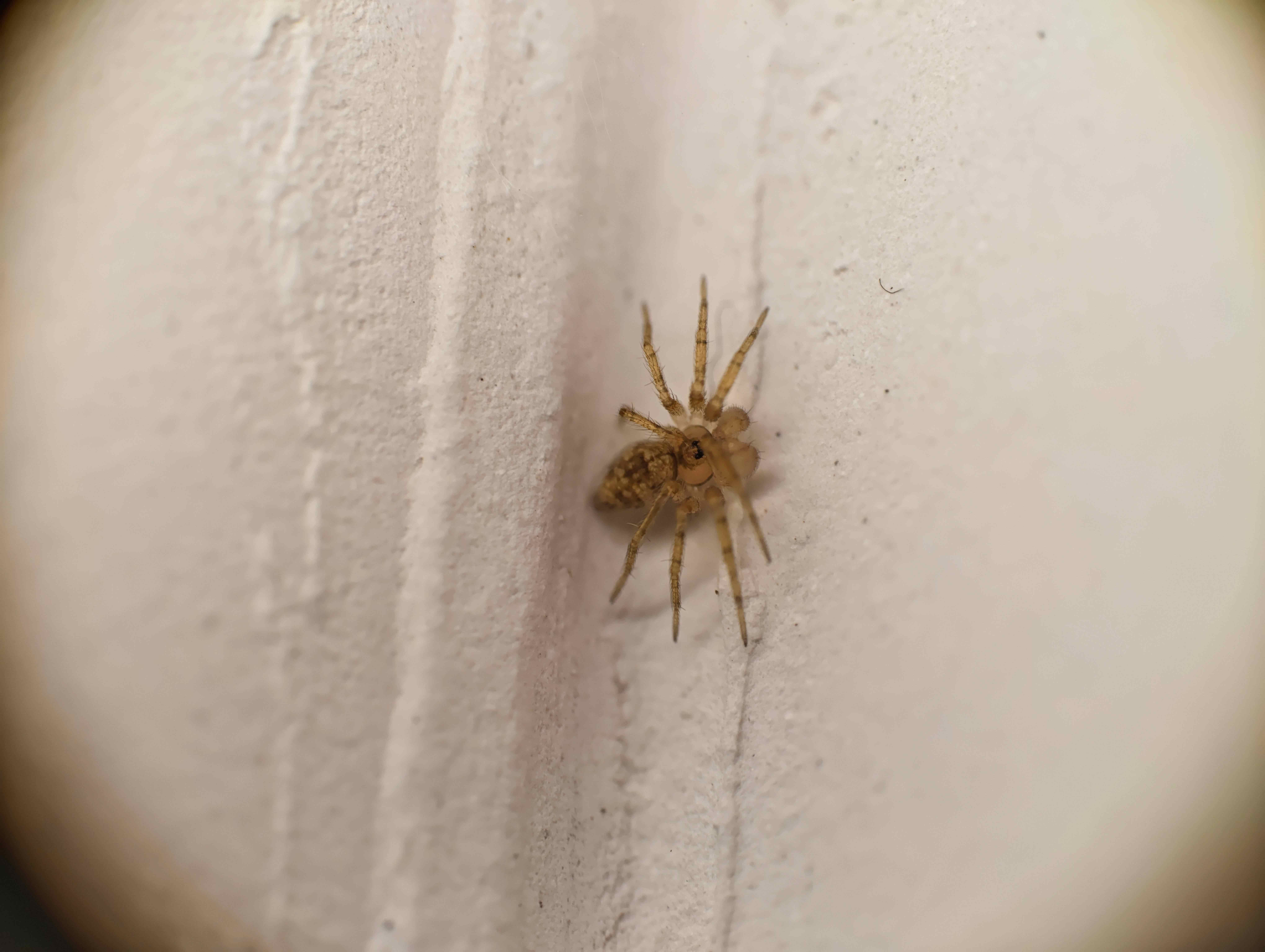 73c2d4328345318928fa4ee09fa1c2d3