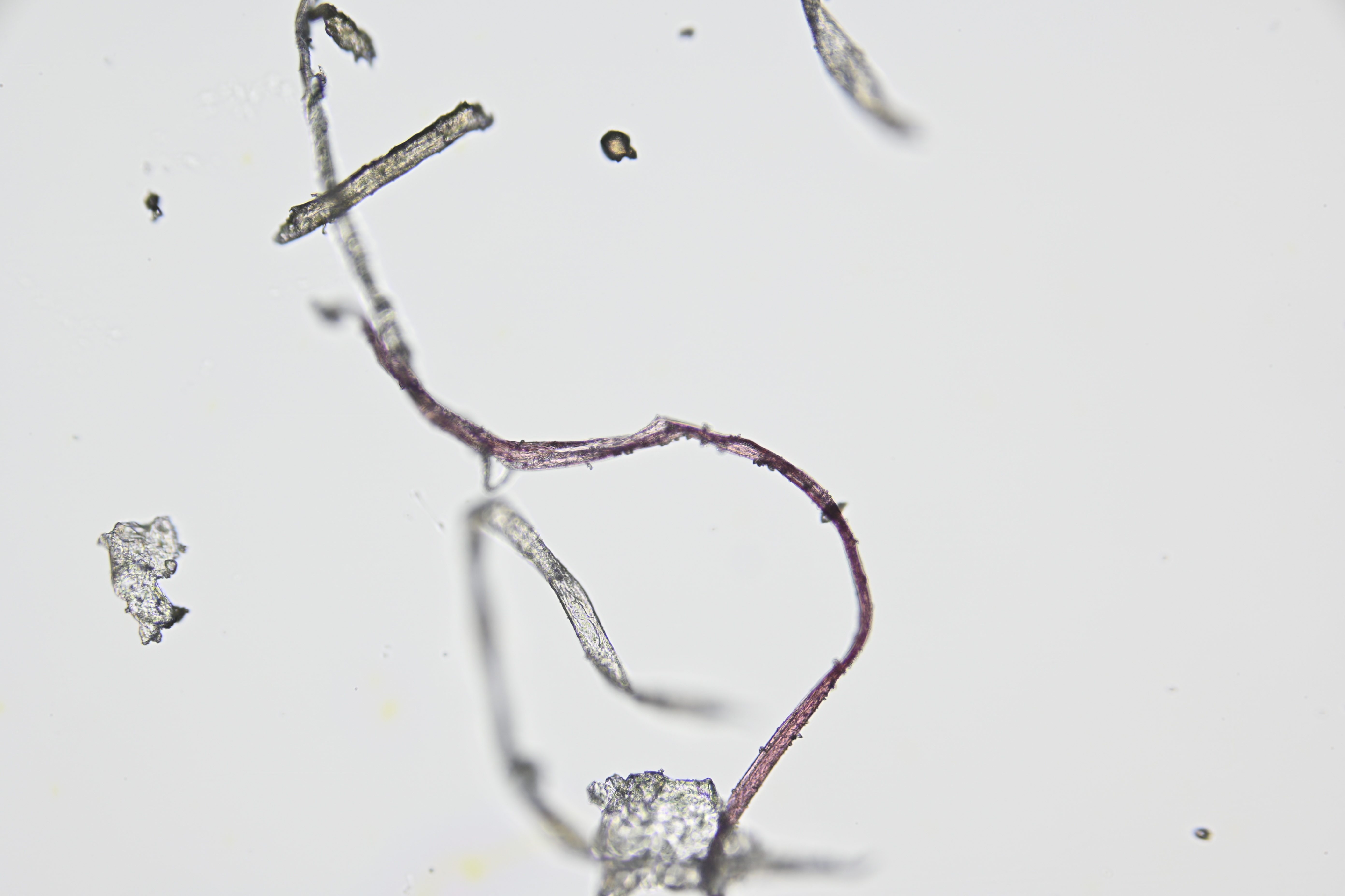 7632bcd231f2036cacc2e9ad464850ad