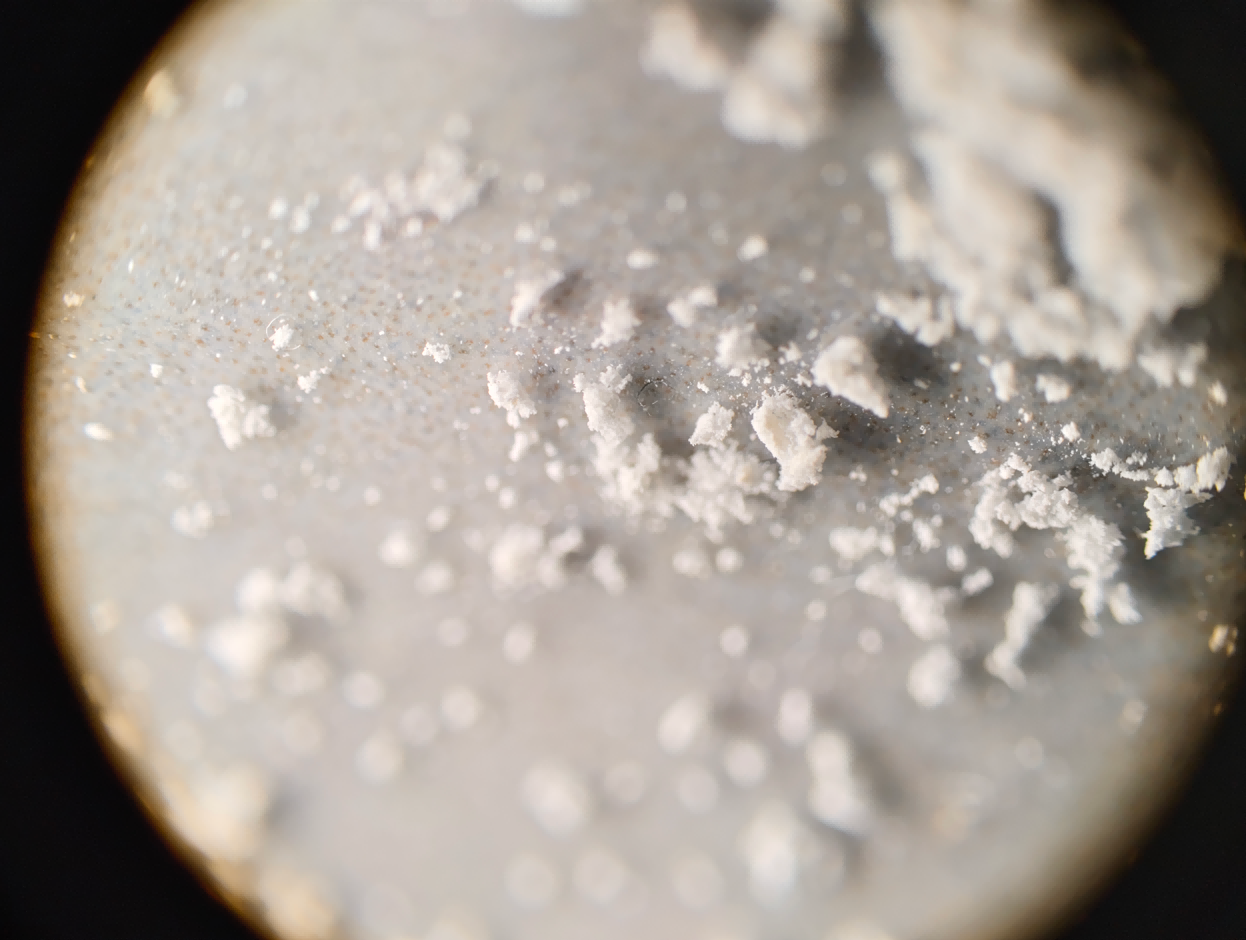 79e0a870fea3f2abb35b924311bb2f38