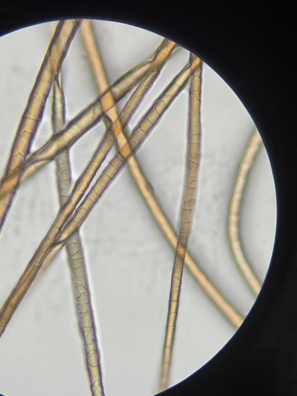 7ce0114159aa135c3e9e78df5f630fa8