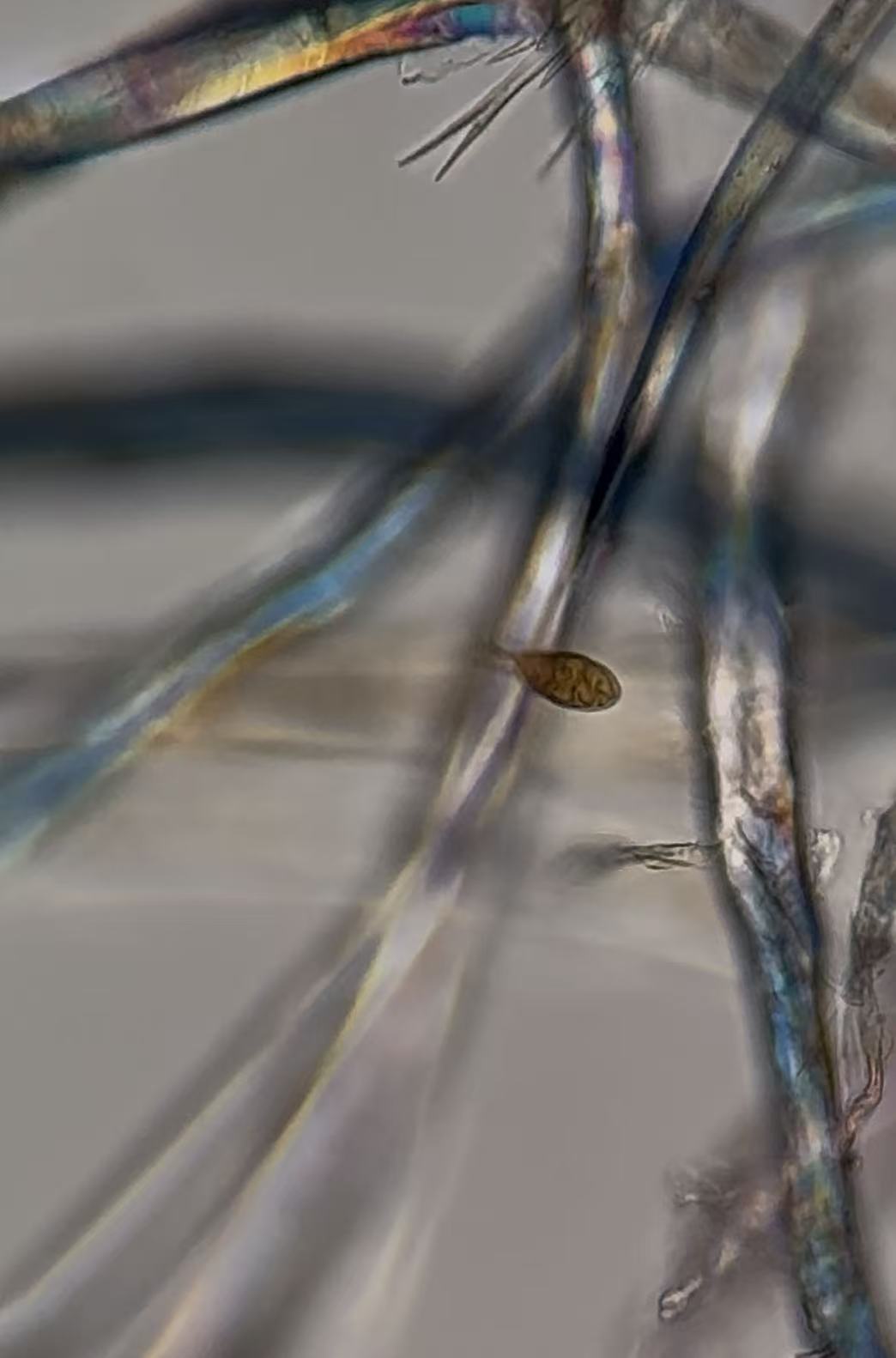 8b63ab3cfa867f872d4eee6cf878a730