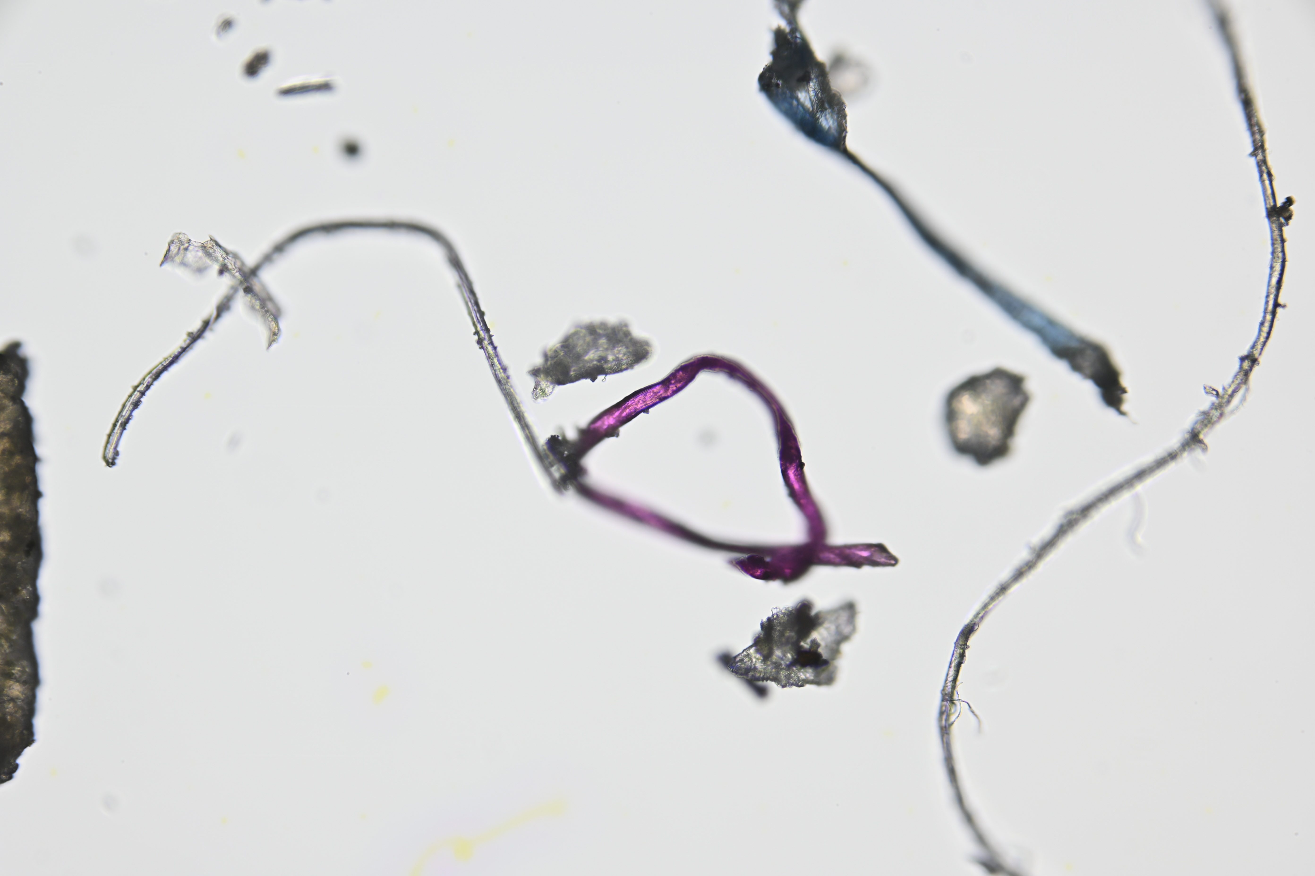 97828ef27b75be7a2055d25cefcc4500