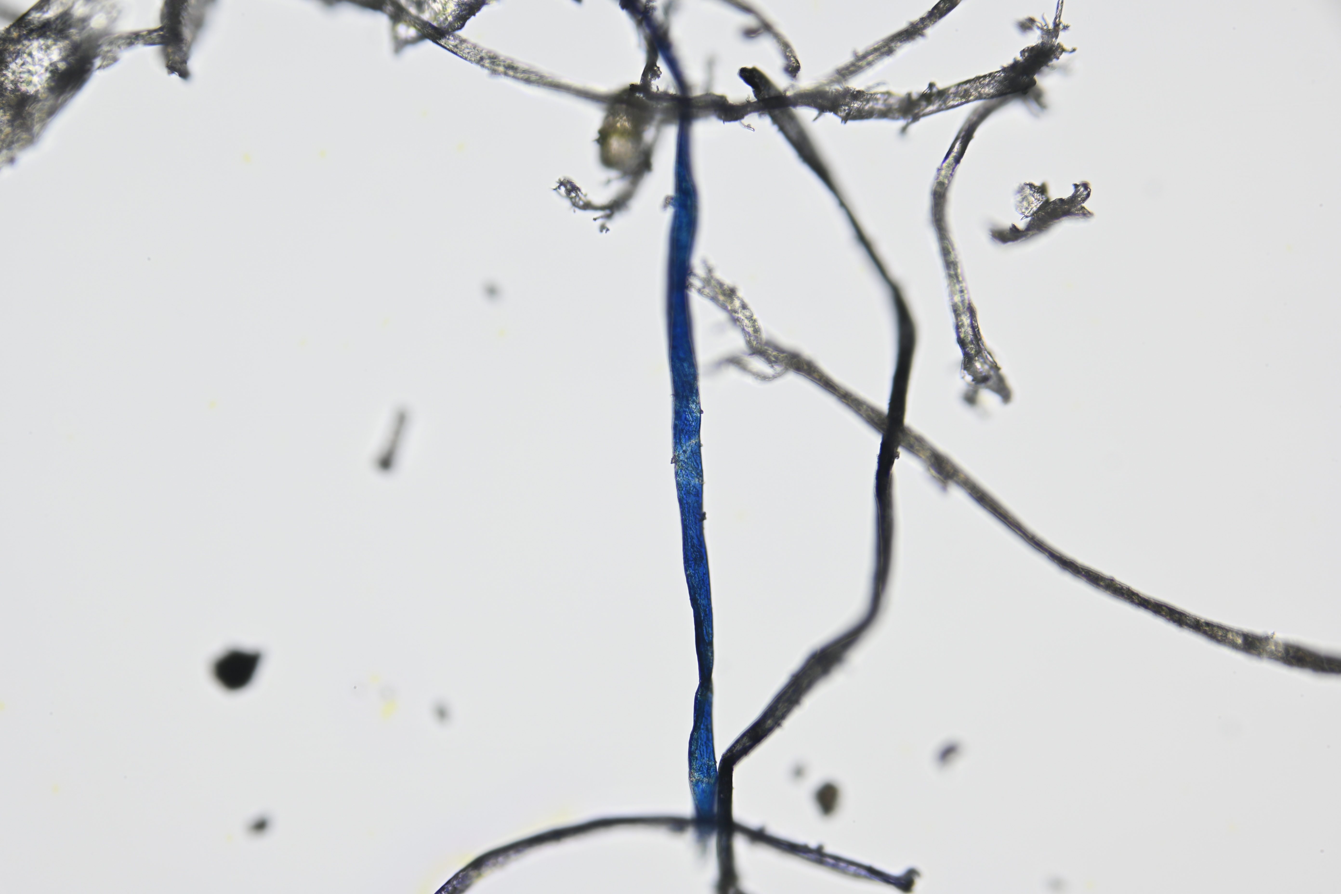 9b273faca1aec3b7b55f790b43eed17a