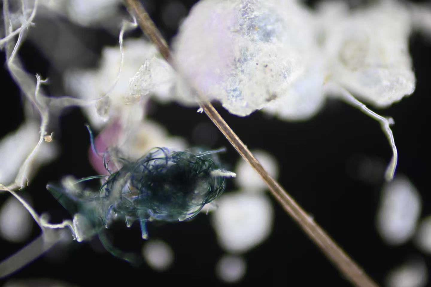 9c47f626774f73a73a7fcac5a2fef092