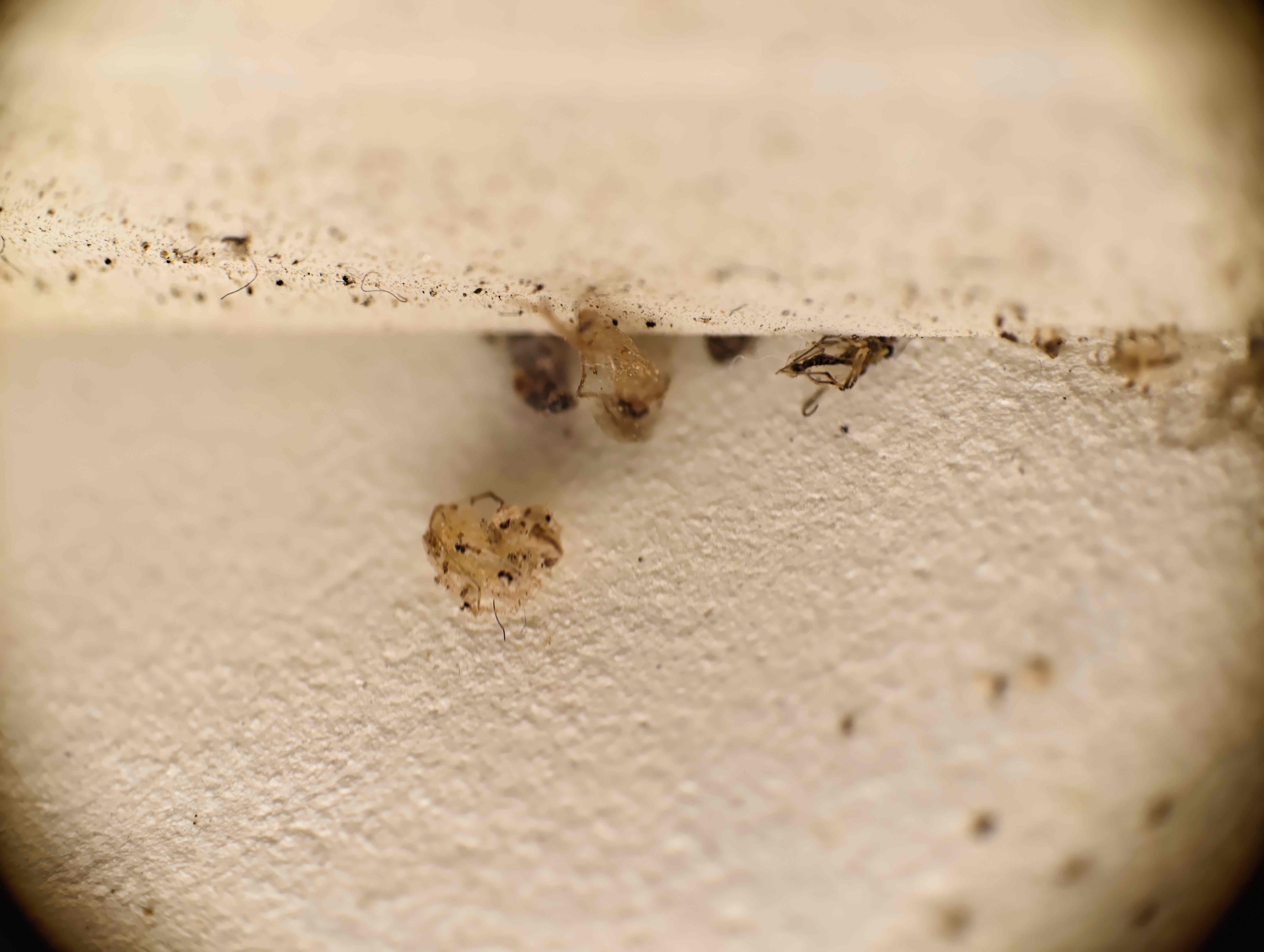 9c8ff67e5b9e95dfd2af7c8ec91007d9