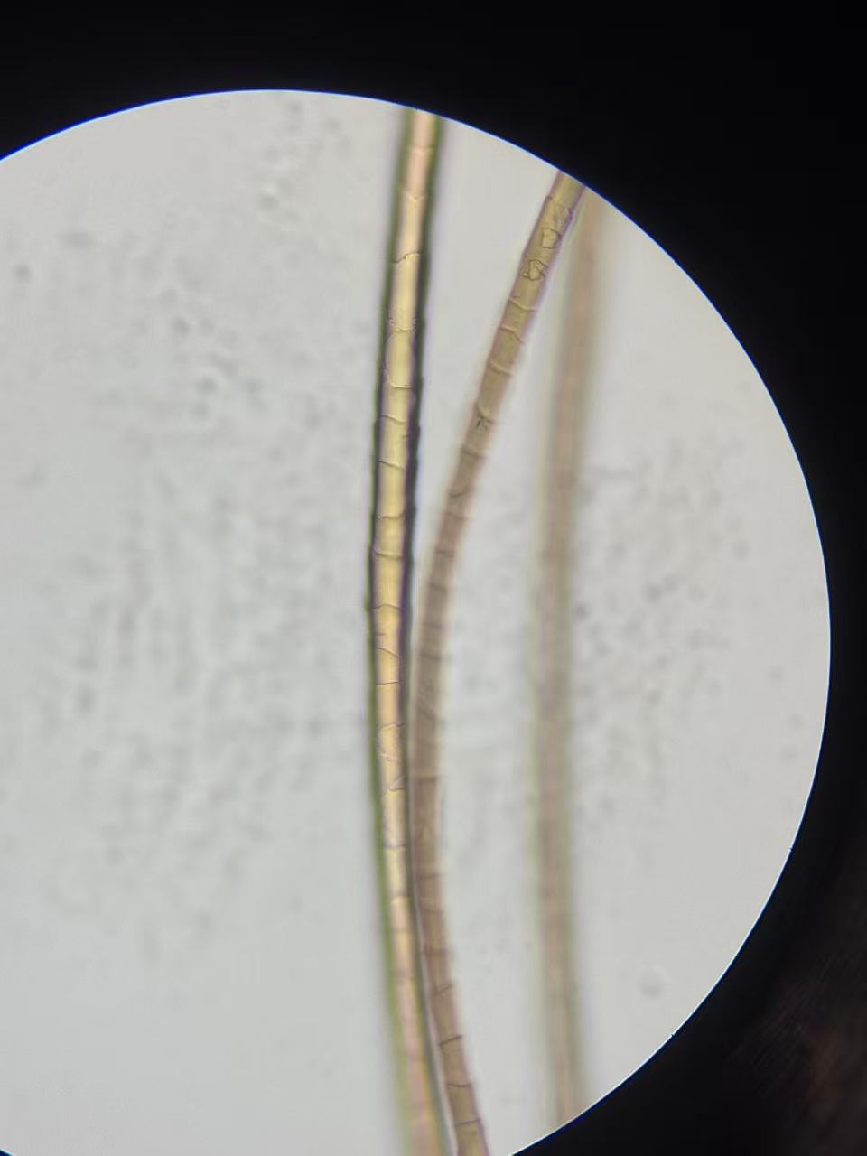 a38163aa5b6b4e88a09602b3743186d5