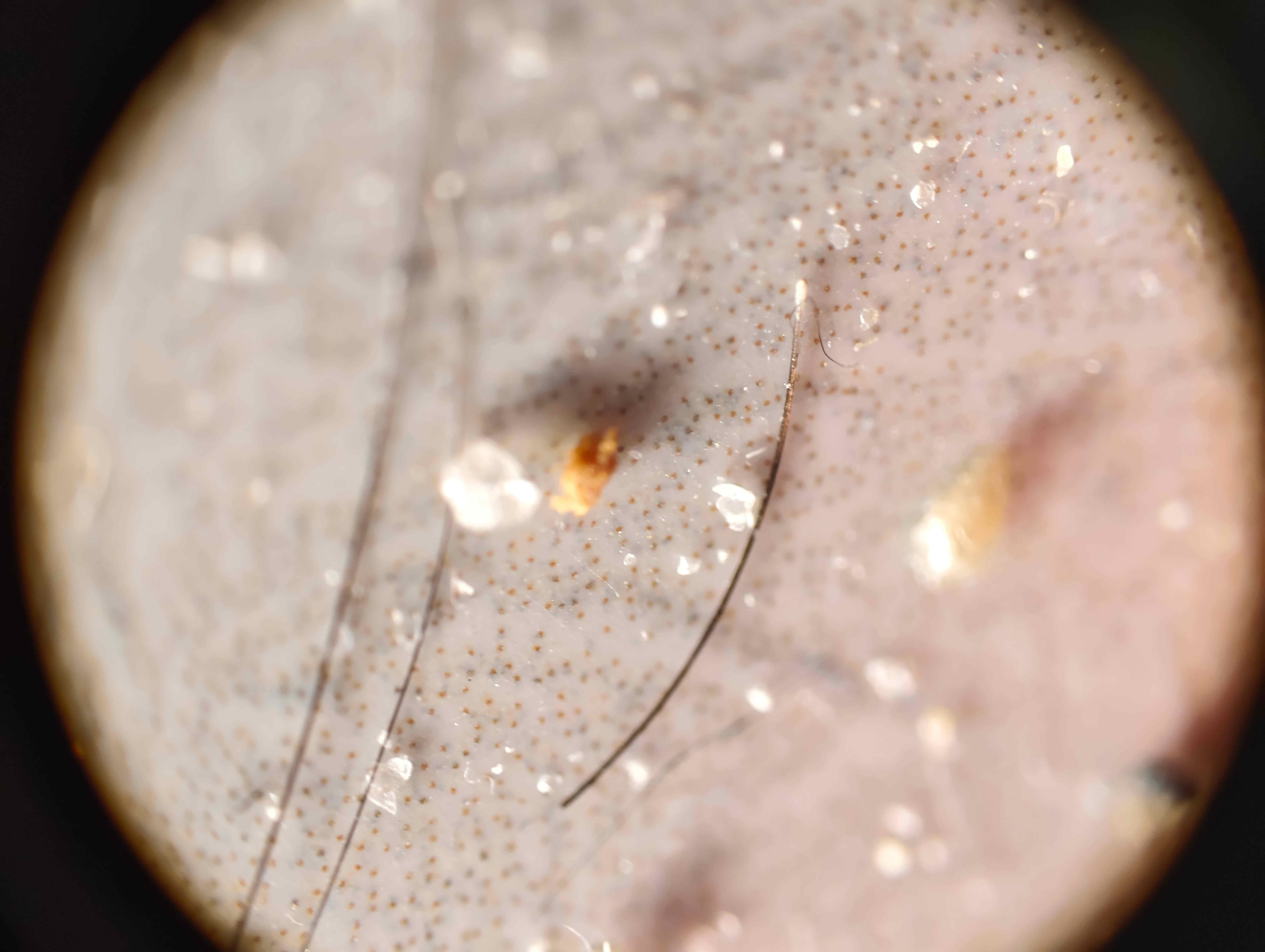 ba2facdcef01ae36ea28c41137f2ffc2