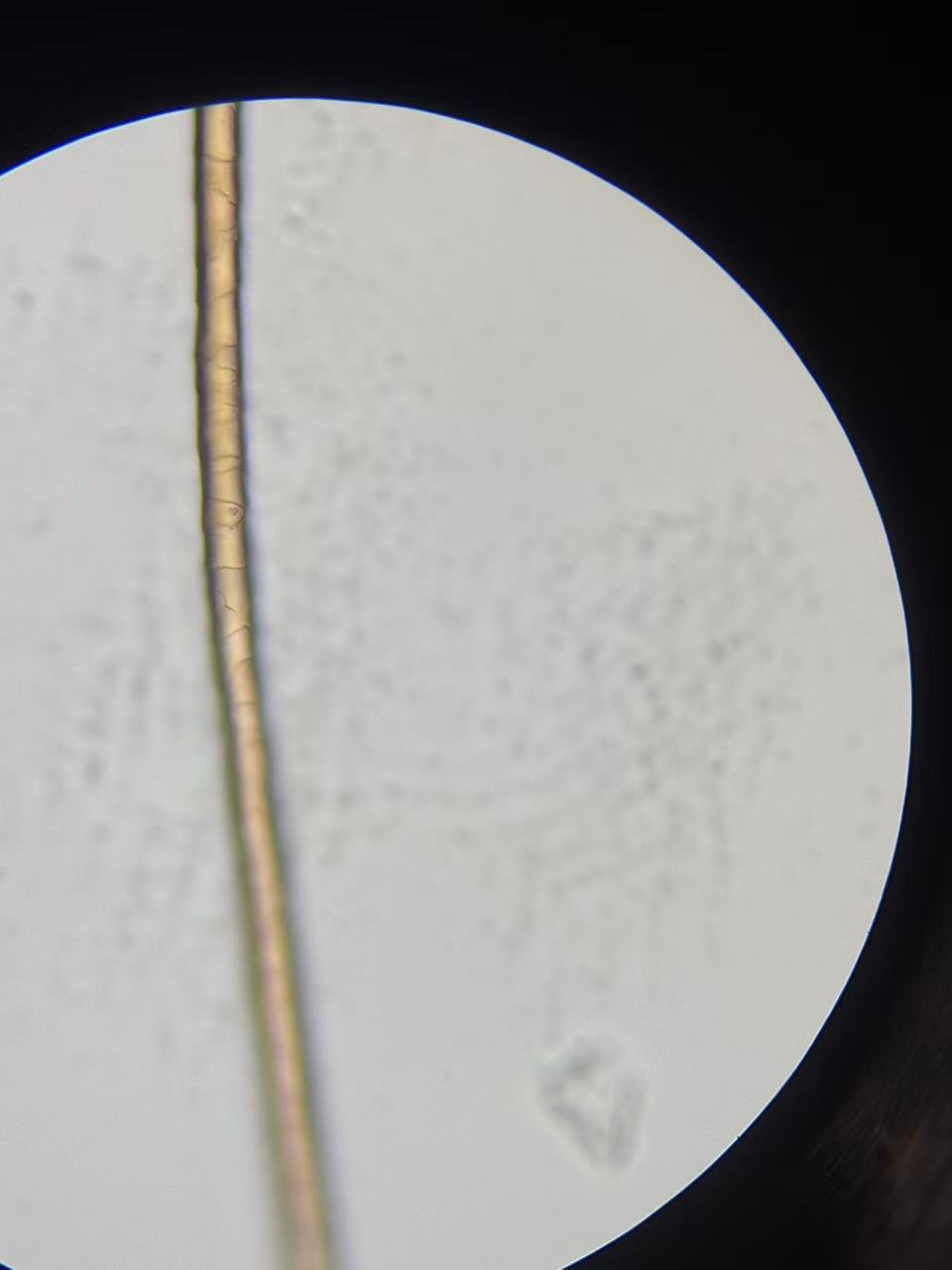 c388020085fe5674f64692af56740a62