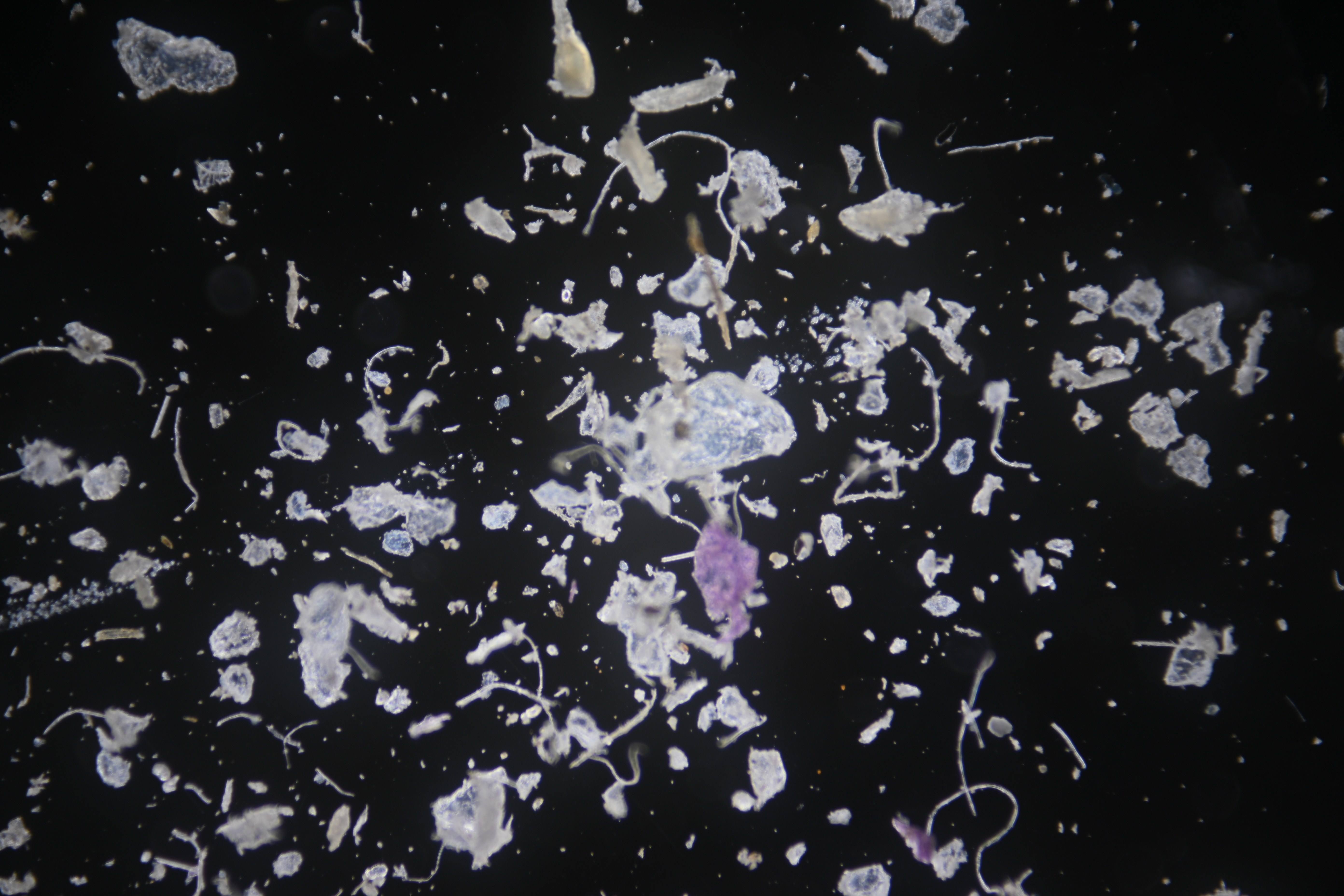 c4afa977dbdfd8323b375aa3a9416ff4