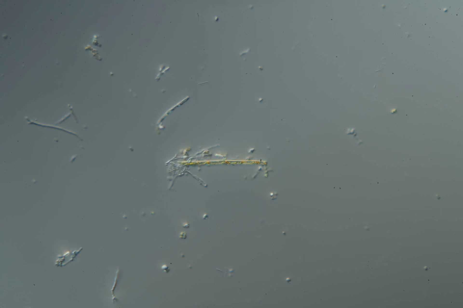 d6f5d1aa6ffff8e42c943a29a7a2426a