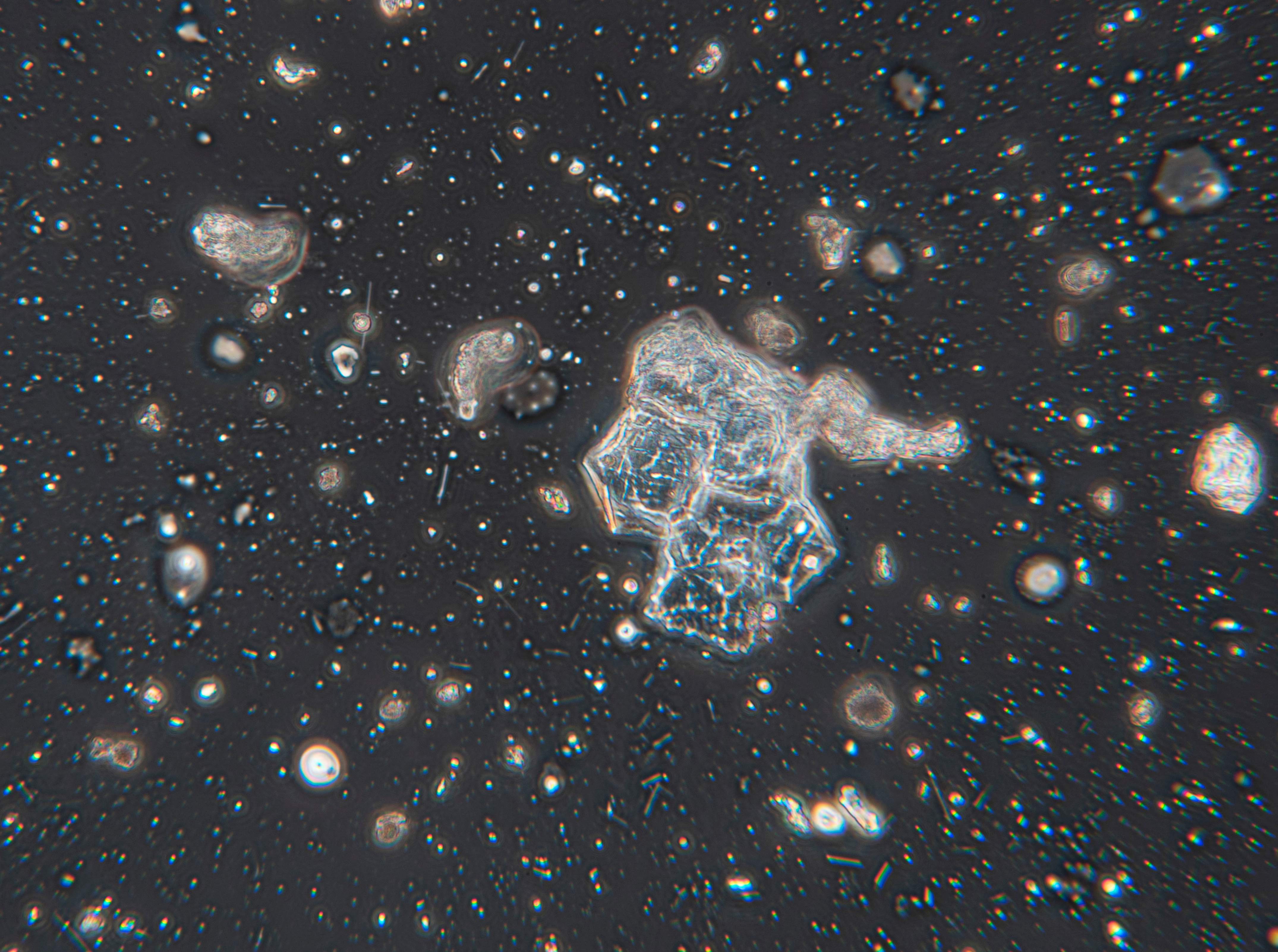 da70c197b4798658429993d9efd42964