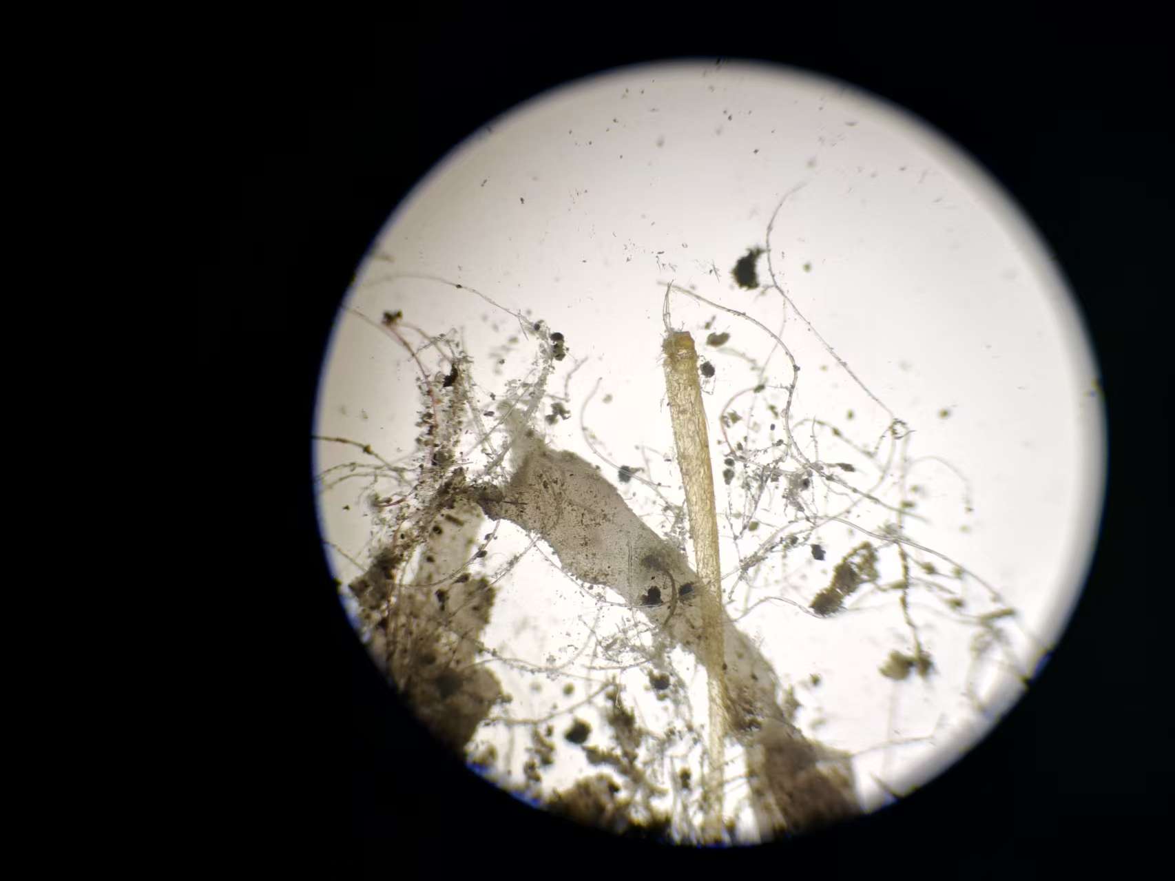 e0e53a9e5a10811d8fe1d5a62ee73251