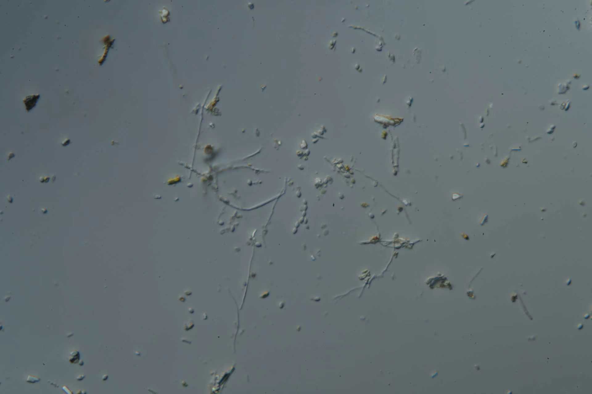 e8629c86ef96a87905dc0873d8e4a47f