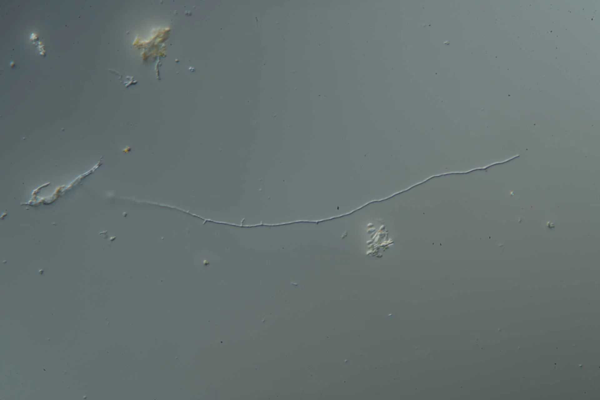 eada463baef6d200e355a2ec21ea5fcf