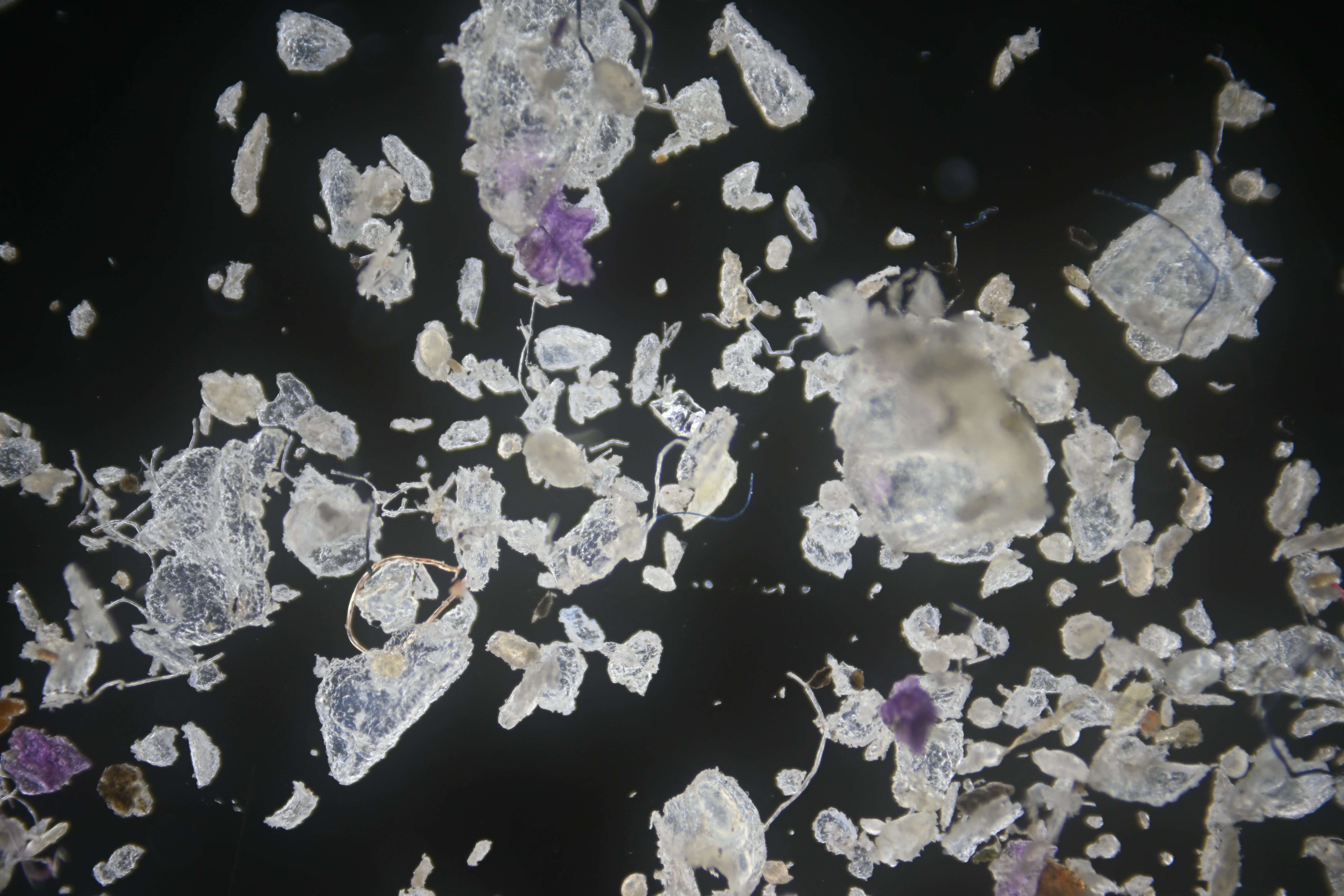 f2e62f817591e6997b245b2e73c08057