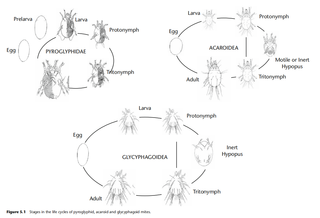 image-20260206174748434